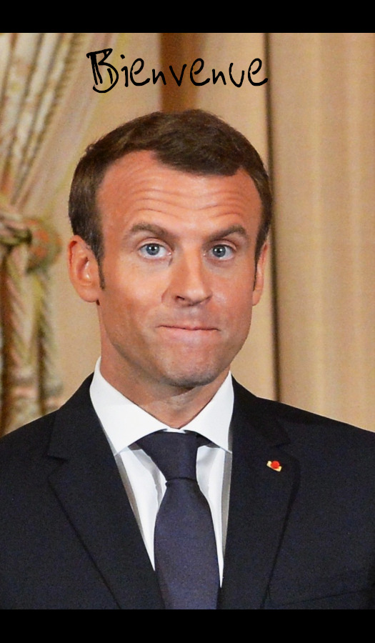 macroniste.com